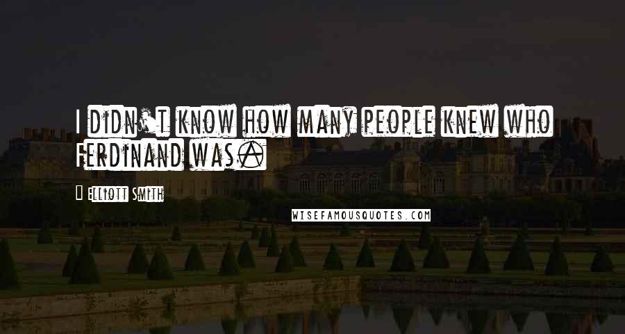 Elliott Smith Quotes: I didn't know how many people knew who Ferdinand was.