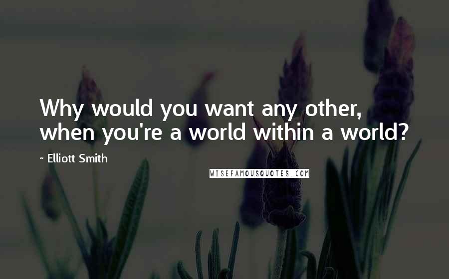 Elliott Smith Quotes: Why would you want any other, when you're a world within a world?