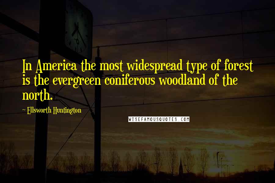 Ellsworth Huntington Quotes: In America the most widespread type of forest is the evergreen coniferous woodland of the north.