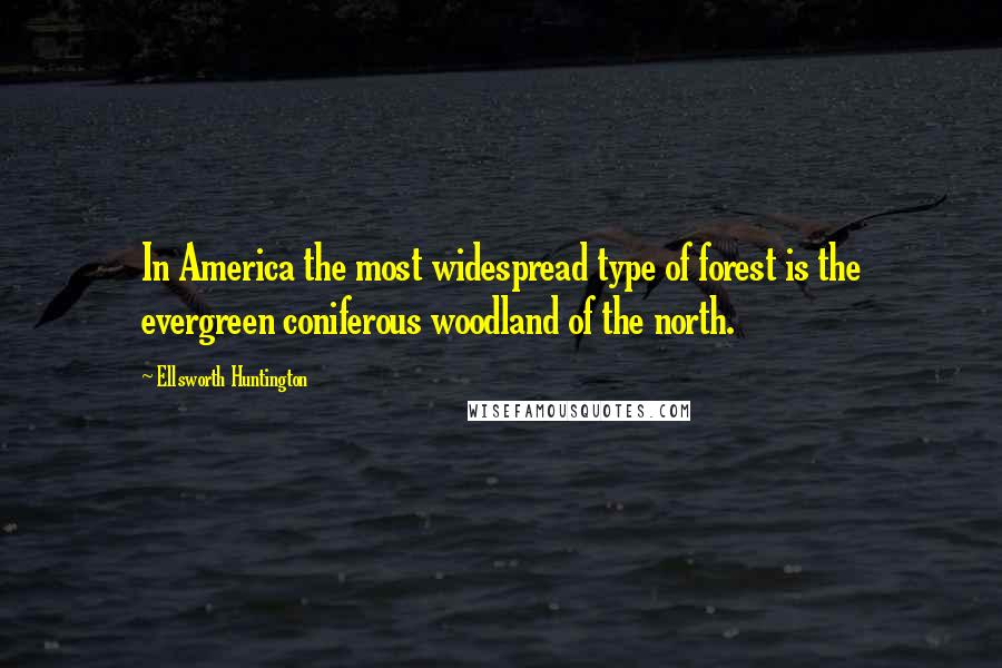 Ellsworth Huntington Quotes: In America the most widespread type of forest is the evergreen coniferous woodland of the north.