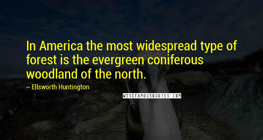 Ellsworth Huntington Quotes: In America the most widespread type of forest is the evergreen coniferous woodland of the north.