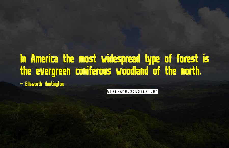 Ellsworth Huntington Quotes: In America the most widespread type of forest is the evergreen coniferous woodland of the north.