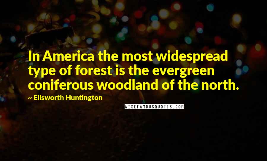 Ellsworth Huntington Quotes: In America the most widespread type of forest is the evergreen coniferous woodland of the north.