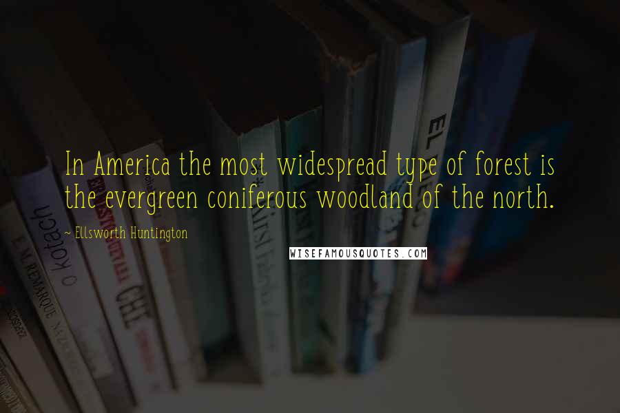 Ellsworth Huntington Quotes: In America the most widespread type of forest is the evergreen coniferous woodland of the north.