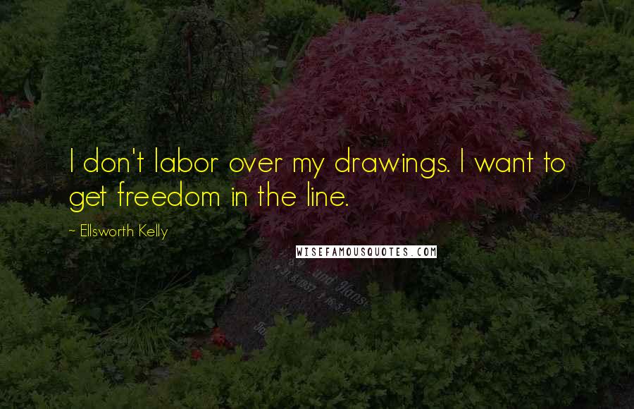 Ellsworth Kelly Quotes: I don't labor over my drawings. I want to get freedom in the line.