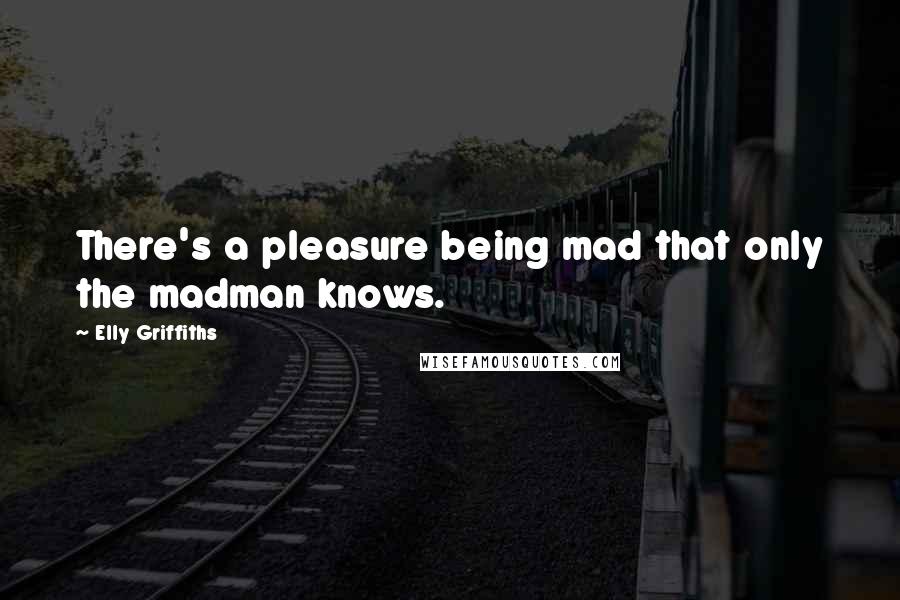 Elly Griffiths Quotes: There's a pleasure being mad that only the madman knows.