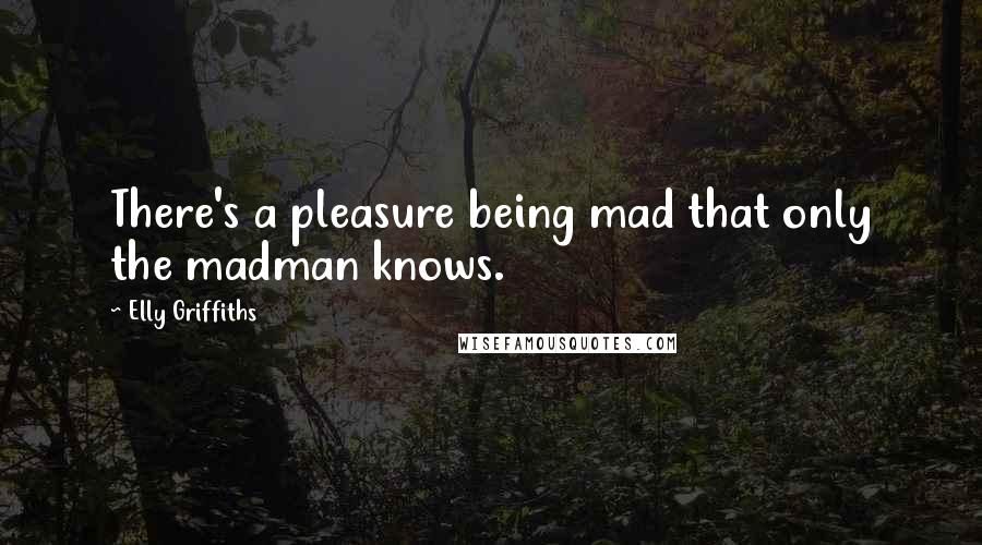 Elly Griffiths Quotes: There's a pleasure being mad that only the madman knows.