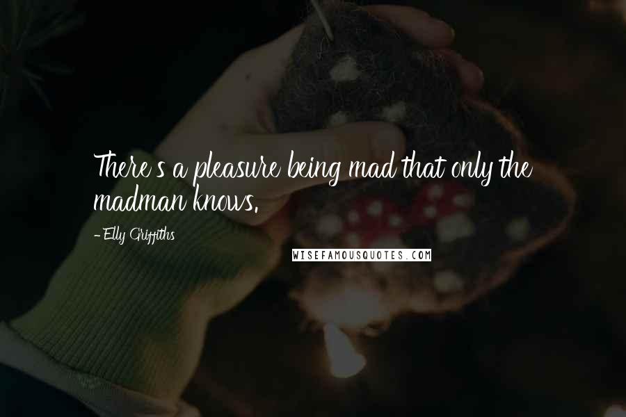 Elly Griffiths Quotes: There's a pleasure being mad that only the madman knows.