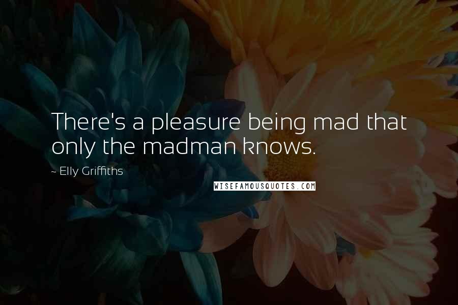 Elly Griffiths Quotes: There's a pleasure being mad that only the madman knows.