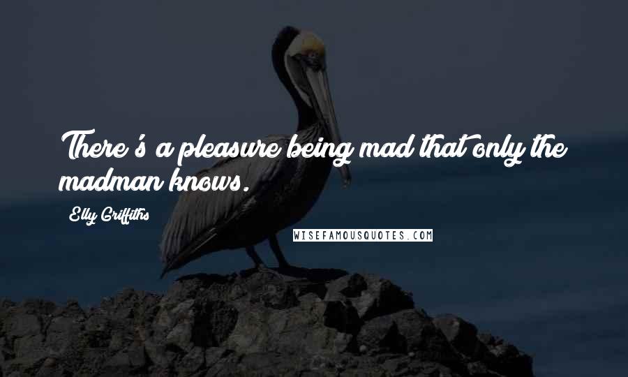 Elly Griffiths Quotes: There's a pleasure being mad that only the madman knows.