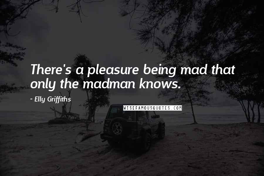 Elly Griffiths Quotes: There's a pleasure being mad that only the madman knows.