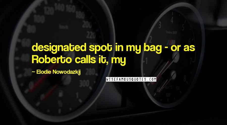 Elodie Nowodazkij Quotes: designated spot in my bag - or as Roberto calls it, my