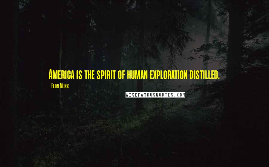 Elon Musk Quotes: America is the spirit of human exploration distilled.