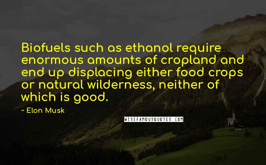 Elon Musk Quotes: Biofuels such as ethanol require enormous amounts of cropland and end up displacing either food crops or natural wilderness, neither of which is good.