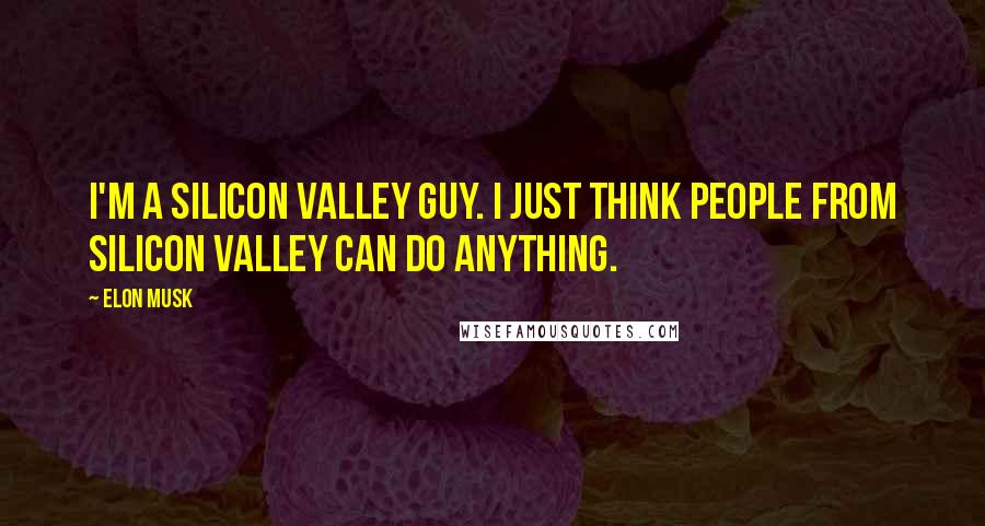 Elon Musk Quotes: I'm a Silicon Valley guy. I just think people from Silicon Valley can do anything.