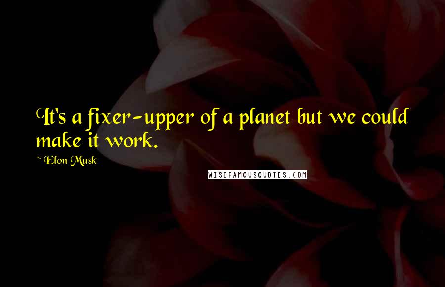 Elon Musk Quotes: It's a fixer-upper of a planet but we could make it work.