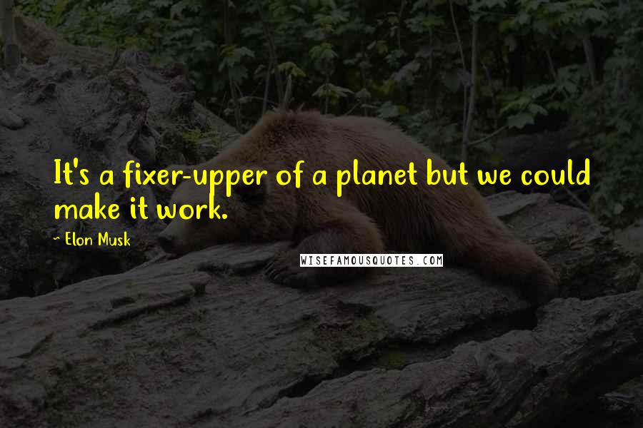 Elon Musk Quotes: It's a fixer-upper of a planet but we could make it work.