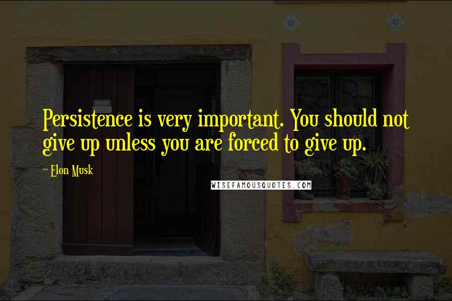 Elon Musk Quotes: Persistence is very important. You should not give up unless you are forced to give up.