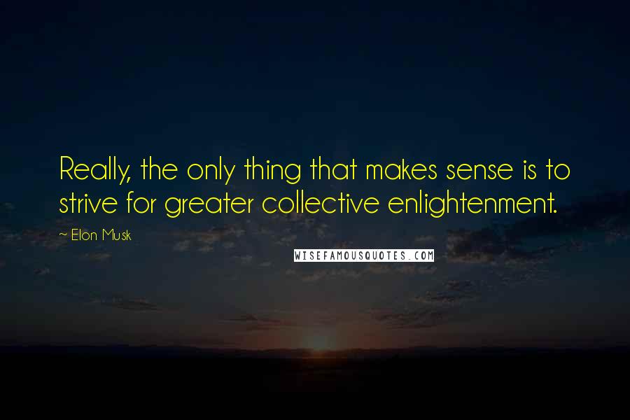 Elon Musk Quotes: Really, the only thing that makes sense is to strive for greater collective enlightenment.