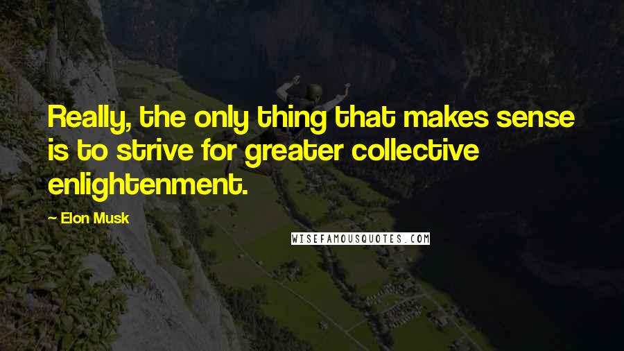Elon Musk Quotes: Really, the only thing that makes sense is to strive for greater collective enlightenment.