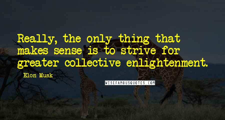 Elon Musk Quotes: Really, the only thing that makes sense is to strive for greater collective enlightenment.