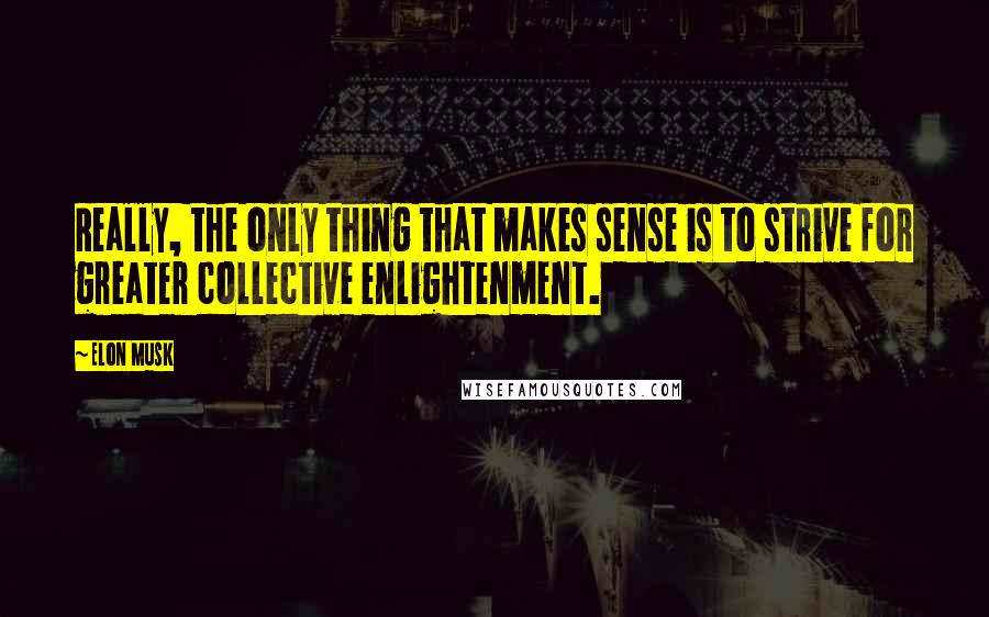 Elon Musk Quotes: Really, the only thing that makes sense is to strive for greater collective enlightenment.