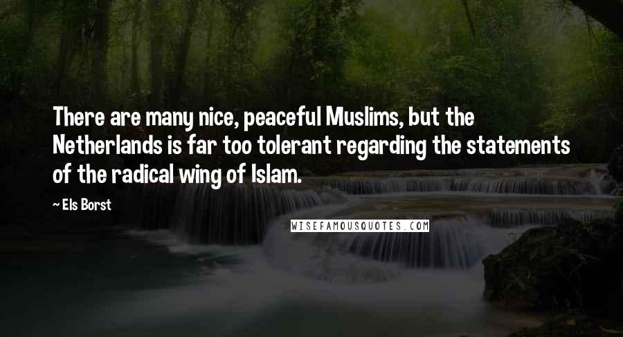 Els Borst Quotes: There are many nice, peaceful Muslims, but the Netherlands is far too tolerant regarding the statements of the radical wing of Islam.