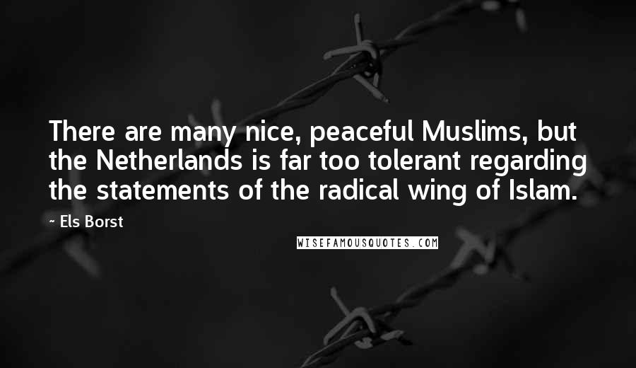 Els Borst Quotes: There are many nice, peaceful Muslims, but the Netherlands is far too tolerant regarding the statements of the radical wing of Islam.