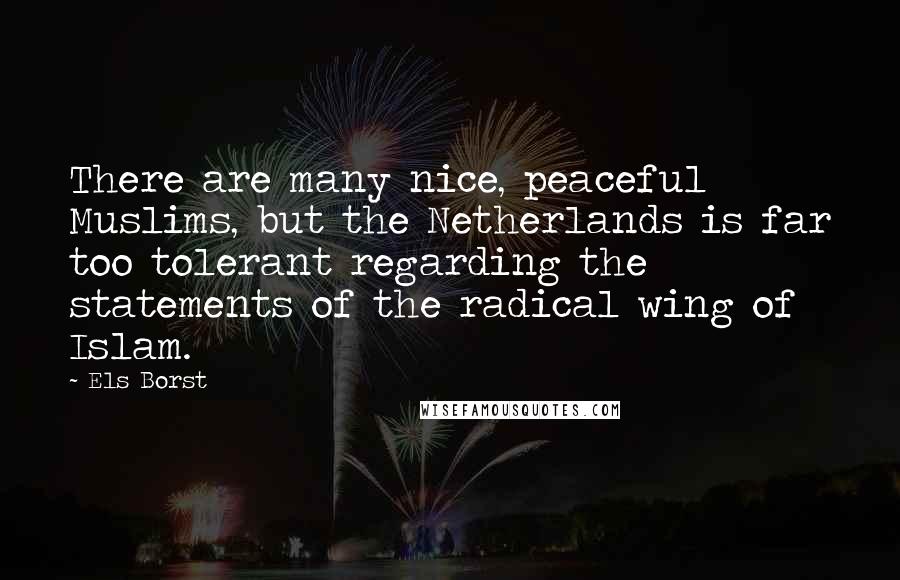 Els Borst Quotes: There are many nice, peaceful Muslims, but the Netherlands is far too tolerant regarding the statements of the radical wing of Islam.