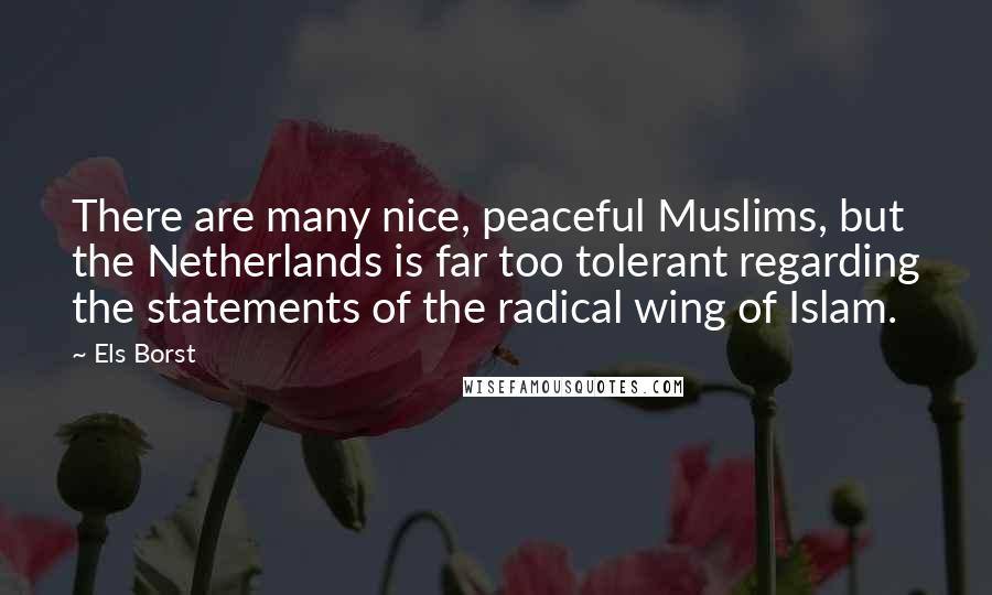 Els Borst Quotes: There are many nice, peaceful Muslims, but the Netherlands is far too tolerant regarding the statements of the radical wing of Islam.