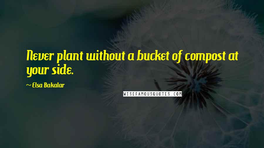 Elsa Bakalar Quotes: Never plant without a bucket of compost at your side.