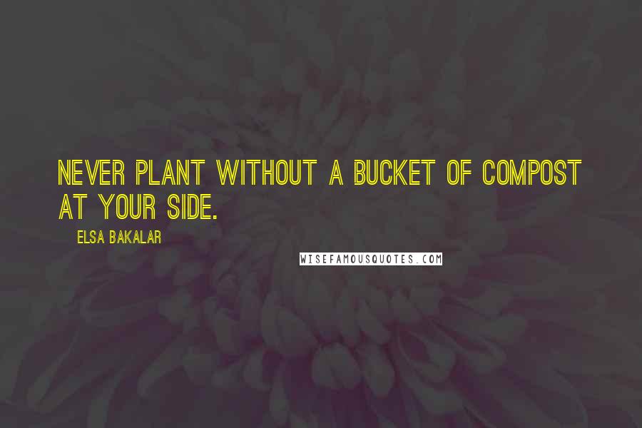 Elsa Bakalar Quotes: Never plant without a bucket of compost at your side.