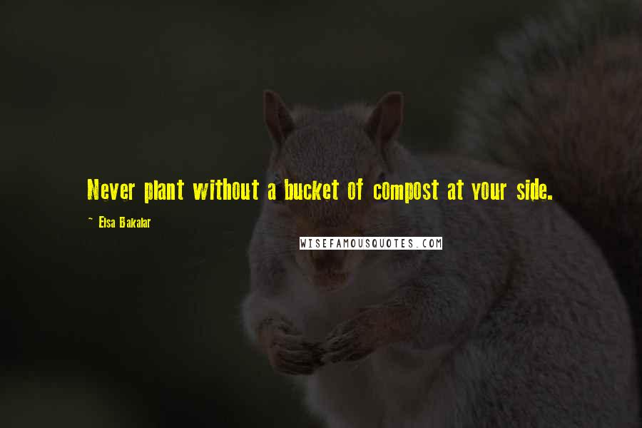 Elsa Bakalar Quotes: Never plant without a bucket of compost at your side.
