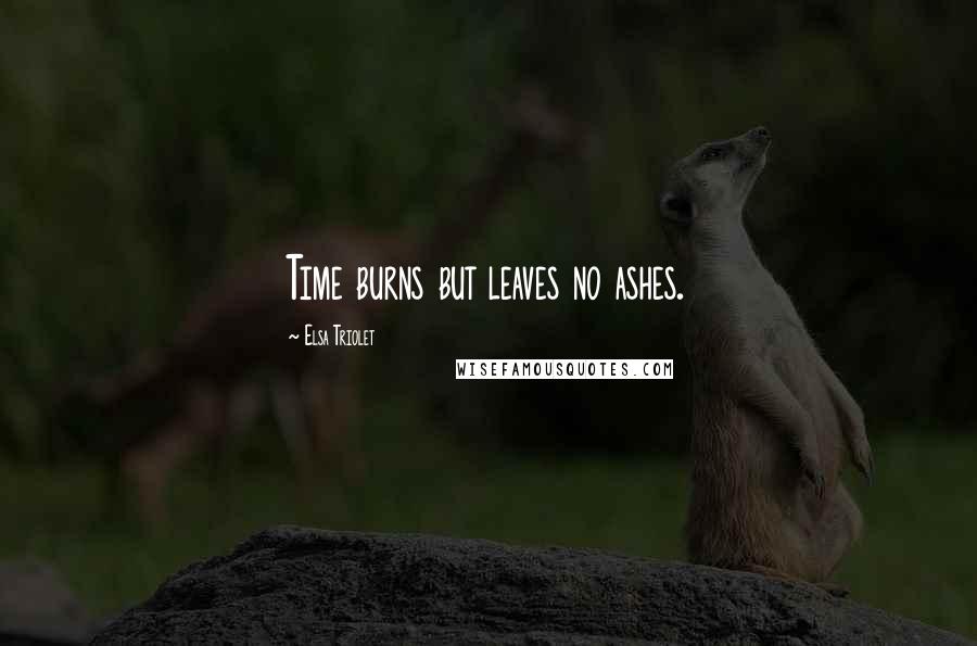 Elsa Triolet Quotes: Time burns but leaves no ashes.