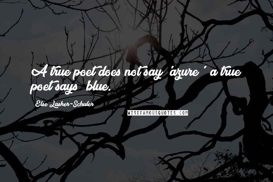 Else Lasker-Schuler Quotes: A true poet does not say 'azure'; a true poet says 'blue.