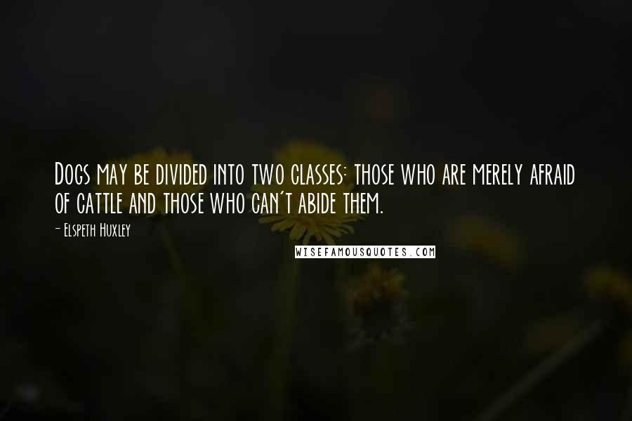 Elspeth Huxley Quotes: Dogs may be divided into two classes: those who are merely afraid of cattle and those who can't abide them.