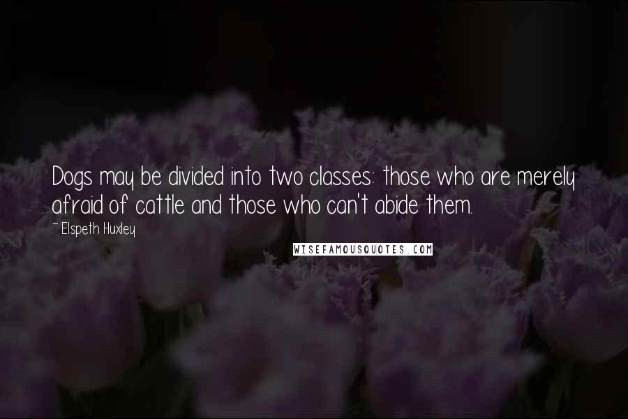 Elspeth Huxley Quotes: Dogs may be divided into two classes: those who are merely afraid of cattle and those who can't abide them.