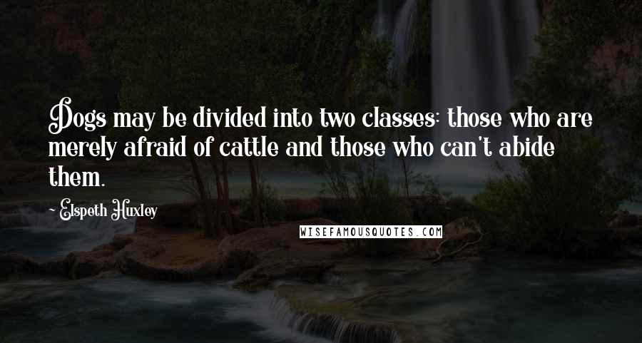 Elspeth Huxley Quotes: Dogs may be divided into two classes: those who are merely afraid of cattle and those who can't abide them.