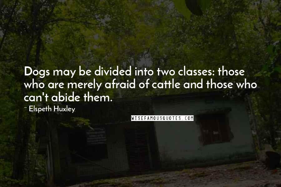 Elspeth Huxley Quotes: Dogs may be divided into two classes: those who are merely afraid of cattle and those who can't abide them.