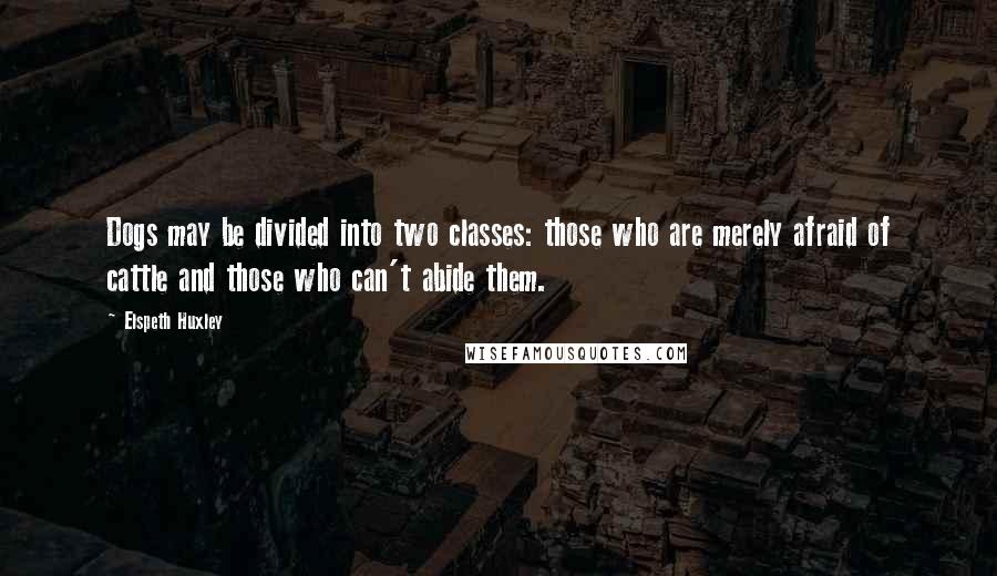 Elspeth Huxley Quotes: Dogs may be divided into two classes: those who are merely afraid of cattle and those who can't abide them.