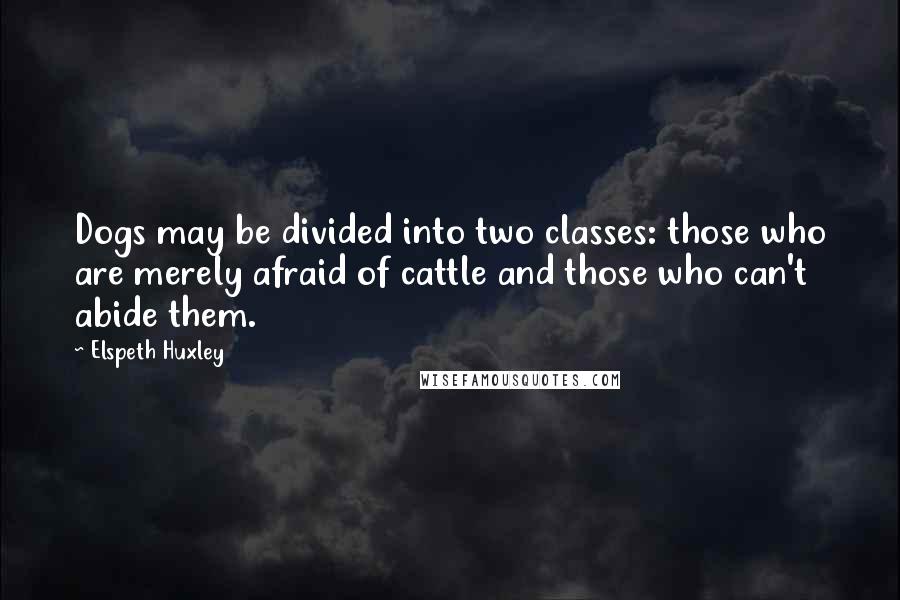 Elspeth Huxley Quotes: Dogs may be divided into two classes: those who are merely afraid of cattle and those who can't abide them.