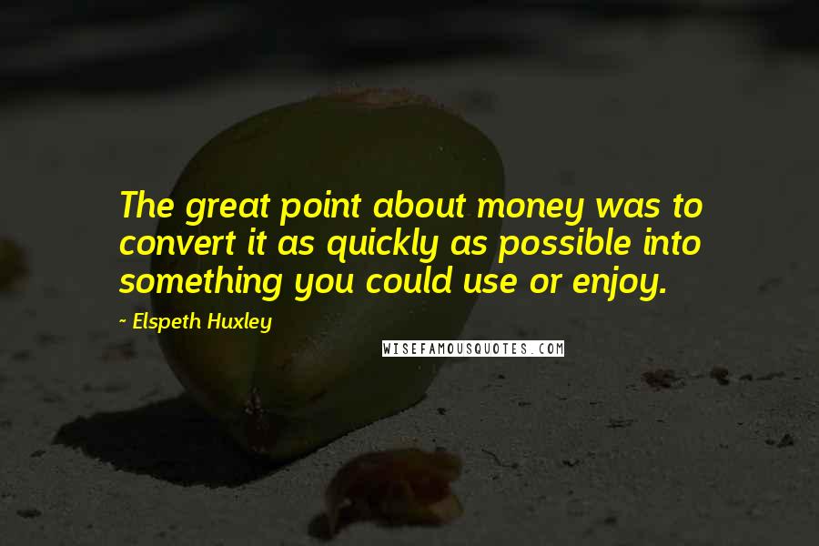 Elspeth Huxley Quotes: The great point about money was to convert it as quickly as possible into something you could use or enjoy.