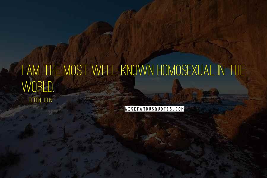 Elton John Quotes: I am the most well-known homosexual in the world.