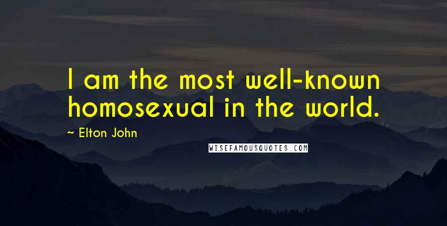 Elton John Quotes: I am the most well-known homosexual in the world.