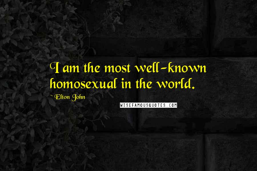 Elton John Quotes: I am the most well-known homosexual in the world.