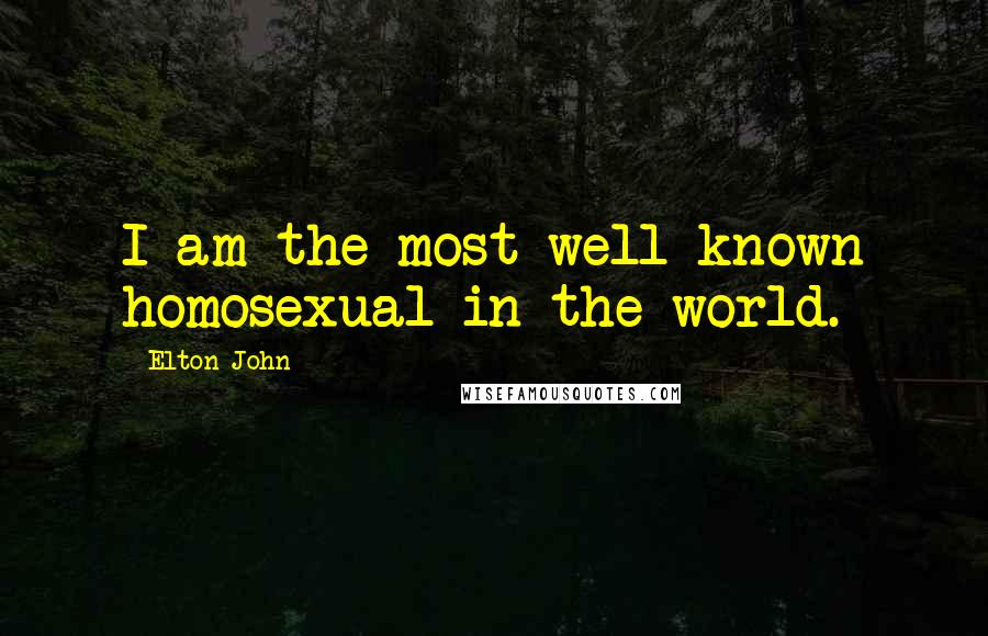 Elton John Quotes: I am the most well-known homosexual in the world.