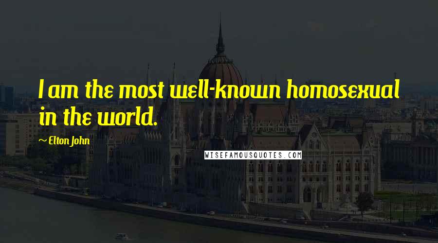 Elton John Quotes: I am the most well-known homosexual in the world.