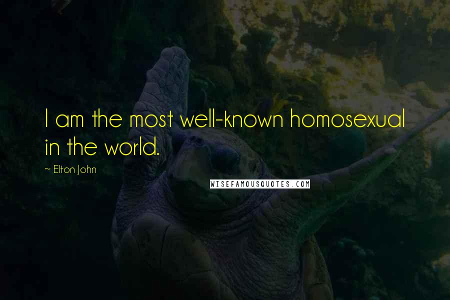 Elton John Quotes: I am the most well-known homosexual in the world.