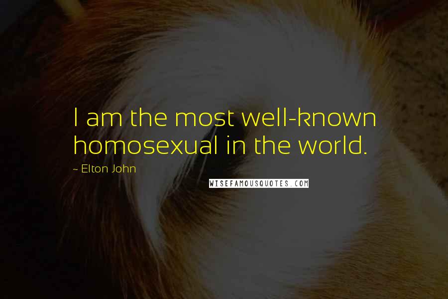 Elton John Quotes: I am the most well-known homosexual in the world.