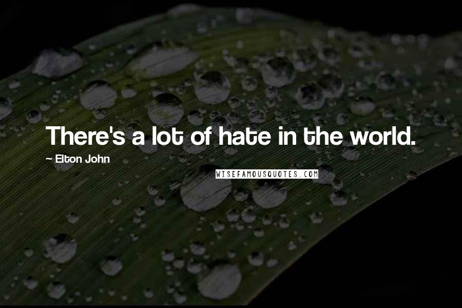 Elton John Quotes: There's a lot of hate in the world.